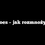 Aloes – jak rozmnożyć?