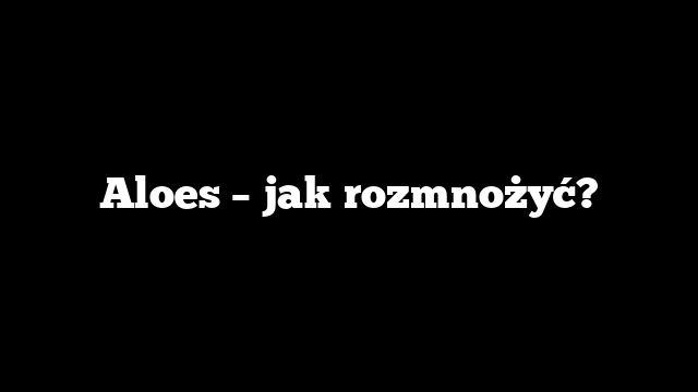 Aloes – jak rozmnożyć?