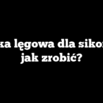 Budka lęgowa dla sikorek – jak zrobić?