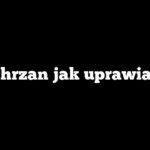 Chrzan jak uprawiać
