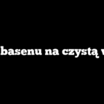 Co do basenu na czystą wodę?