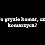 Co gryzie komar, czy komarzyca?