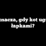 Co oznacza, gdy kot ugniata łapkami?