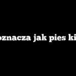 Co oznacza jak pies kicha