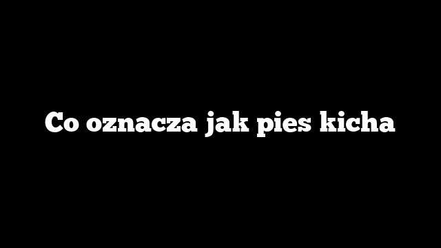 Co oznacza jak pies kicha