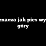 Co oznacza jak pies wyje do góry