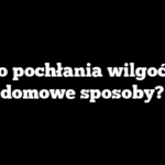 Co pochłania wilgoć – domowe sposoby?