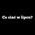 Co siać w lipcu?