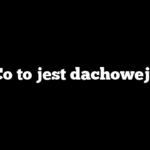 Co to jest dachowej?