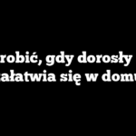 Co zrobić, gdy dorosły pies załatwia się w domu