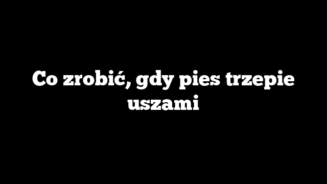 Co zrobić, gdy pies trzepie uszami