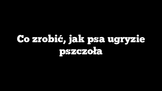 Co zrobić, jak psa ugryzie pszczoła