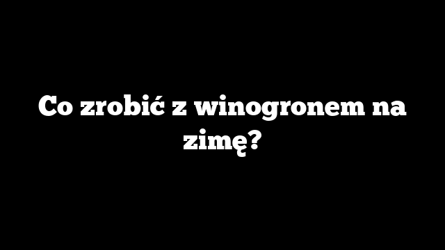 Co zrobić z winogronem na zimę?