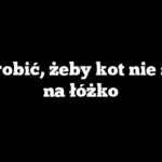 Co zrobić, żeby kot nie sikał na łóżko
