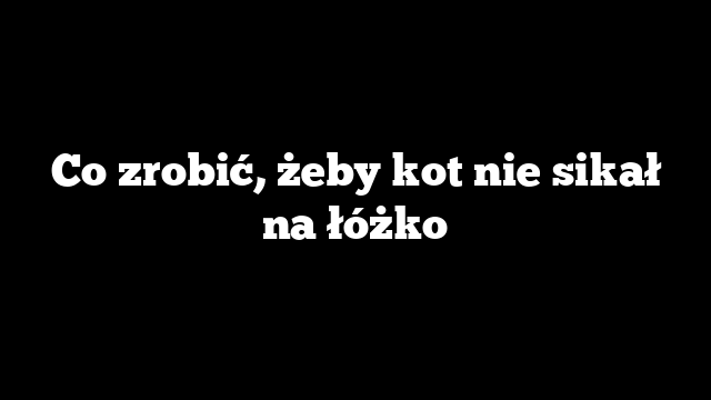 Co zrobić, żeby kot nie sikał na łóżko