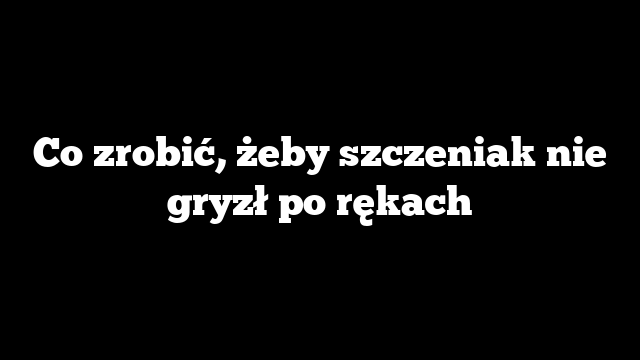 Co zrobić, żeby szczeniak nie gryzł po rękach