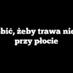 Co zrobić, żeby trawa nie rosła przy płocie
