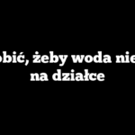Co zrobić, żeby woda nie stała na działce
