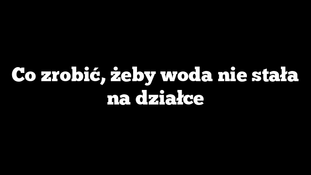 Co zrobić, żeby woda nie stała na działce