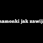 Cynamonki jak zawijać?