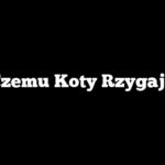 Czemu Koty Rzygają