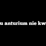Czemu anturium nie kwitnie?