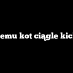 Czemu kot ciągle kicha