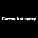 Czemu kot syczy