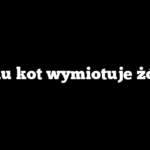 Czemu kot wymiotuje żółcią?