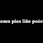 Czemu pies liże pościel