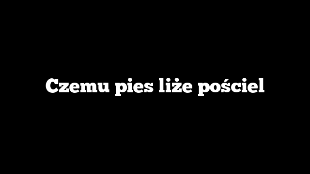 Czemu pies liże pościel