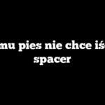 Czemu pies nie chce iść na spacer