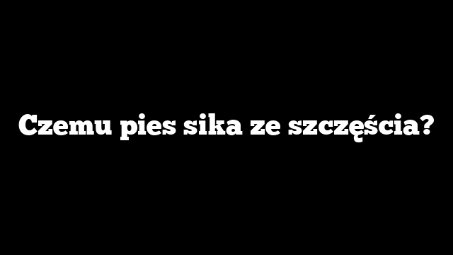 Czemu pies sika ze szczęścia?