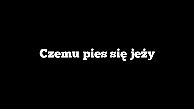 Czemu pies się jeży