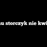 Czemu storczyk nie kwitnie?