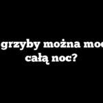 Czy grzyby można moczyć całą noc?