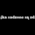 Czy jajka sadzone są zdrowe?