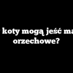 Czy koty mogą jeść masło orzechowe?