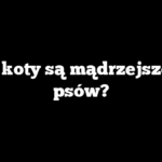 Czy koty są mądrzejsze od psów?