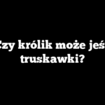 Czy królik może jeść truskawki?