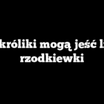 Czy króliki mogą jeść liście rzodkiewki