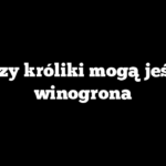 Czy króliki mogą jeść winogrona