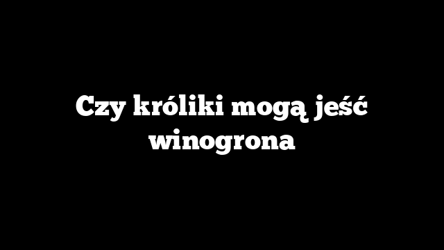 Czy króliki mogą jeść winogrona