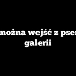 Czy można wejść z psem do galerii
