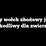 Czy wołek zbożowy jest szkodliwy dla zwierząt