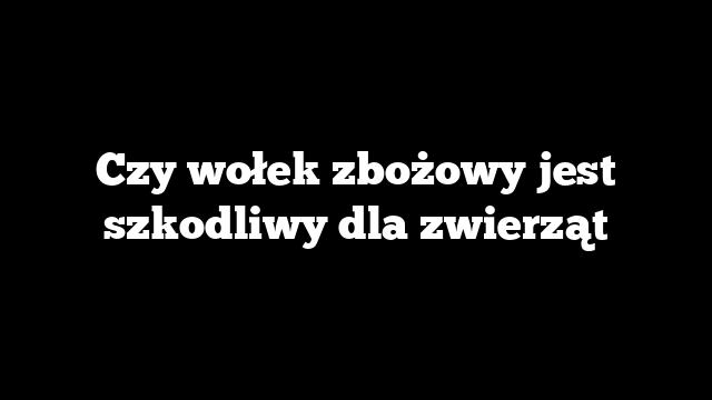 Czy wołek zbożowy jest szkodliwy dla zwierząt