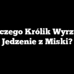 Dlaczego Królik Wyrzuca Jedzenie z Miski?