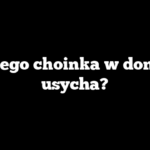 Dlaczego choinka w doniczce usycha?
