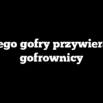 Dlaczego gofry przywierają do gofrownicy