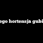 Dlaczego hortensja gubi liście